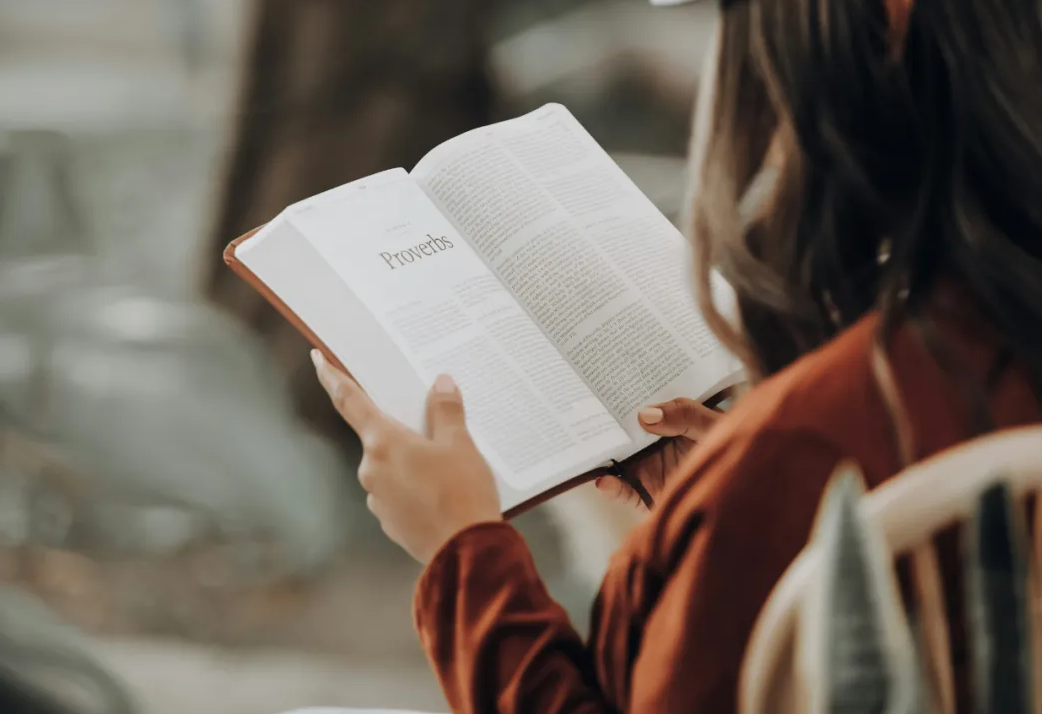 先理知学REAL PhD:资深博导阵容与专业服务,为学子精准导航申博之路